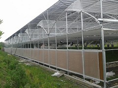 薄膜连栋温室